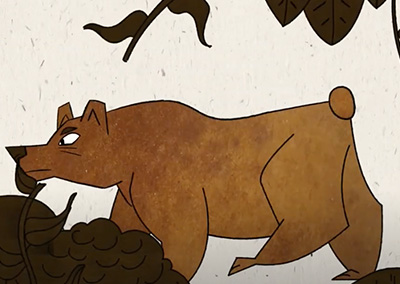 Brown bear gait cycle
Elena Benítez2D AnimationView more